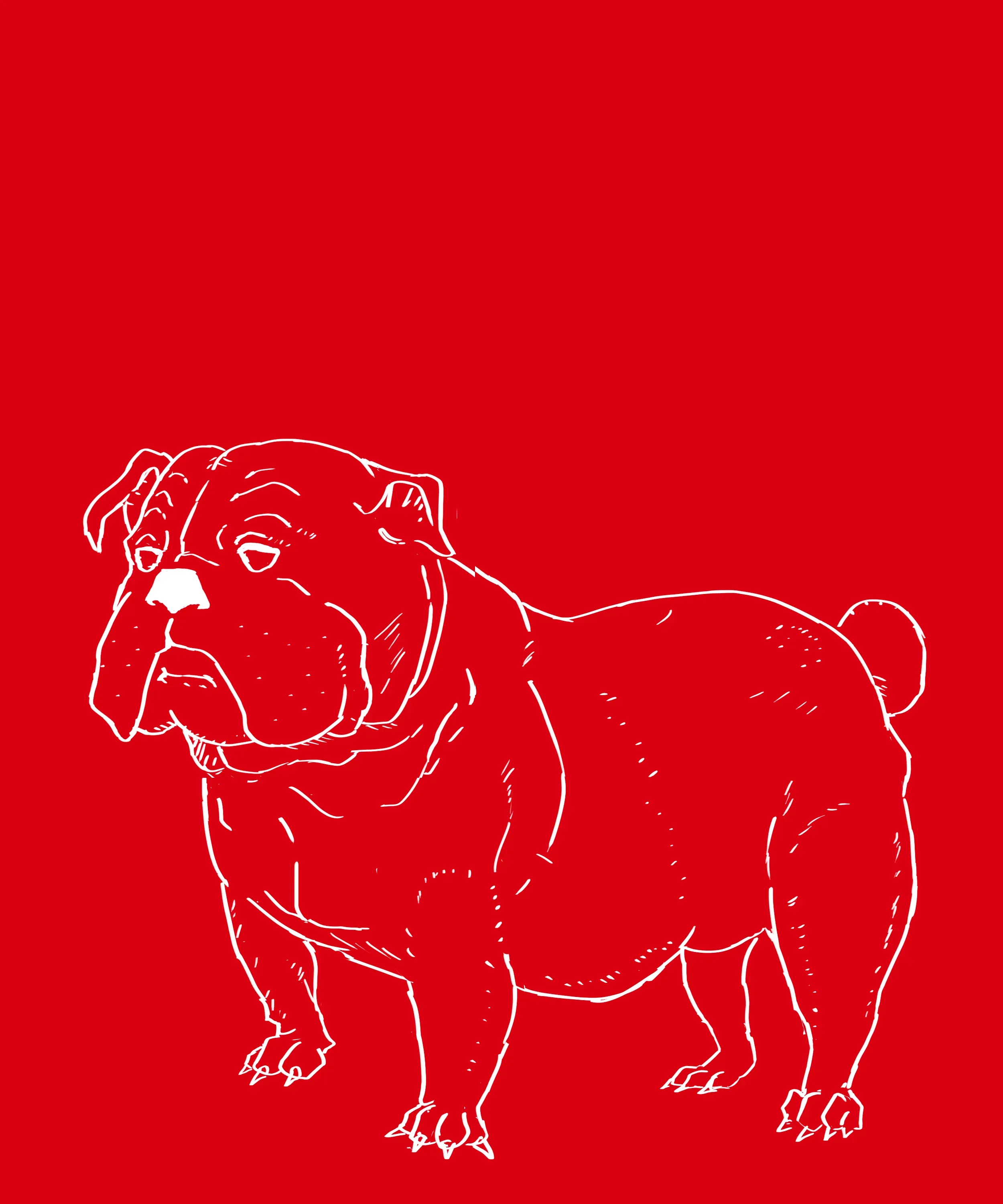Regional avatar, Bulldog